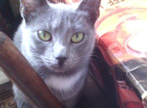 IMG-1482237864487-V