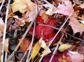 P_20150928_160912_1