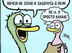 IMG_20160229_155132