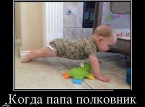 q0M3uq3ZSTU
