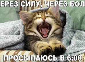 BPqCGa9kIjc