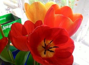 IMG_20160410_075618