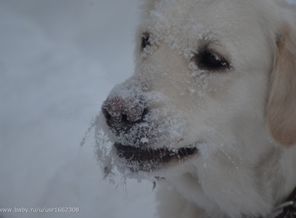 Ну и что что -30!!!