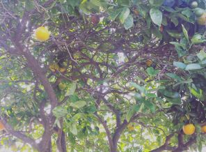 IMG_20160527_160804
