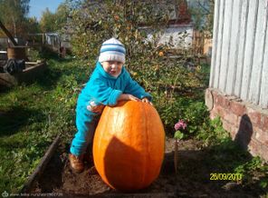 Выращенное своими руками!