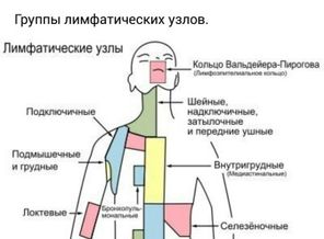 -vU4pljP0Ms