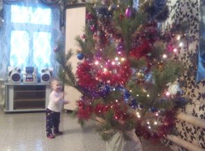 IMG_20161224_163944