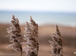 DSC_1781