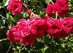 20160626_125839