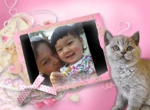 PhotoFrame_1449781688918