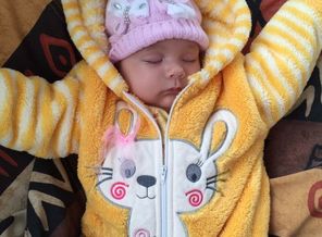IMG-20160908-WA0004