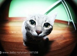 tbili_i_zheka_kto_tam_pali_v_glazok