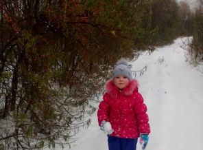 IMG_20161103_122801.jpg