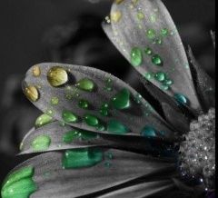 creative_240x320_1_009