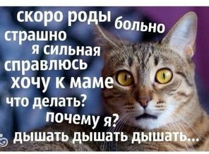 UbpTjeJPNQA
