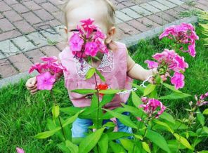 IMG_20160802_135037_1