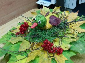 IMG_20151016_131135
