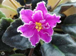 IMG_20170405_164854
