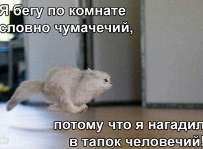 1NjcBXXNwFE