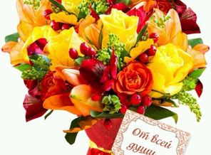 IMG-20151114-WA0005