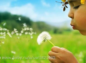52eeca75dc708f8303547c07c6dddc75.bin