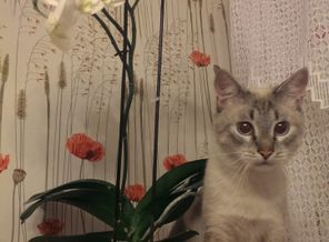 IMAG0406