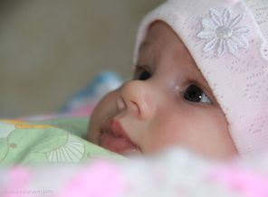 IMG_4581