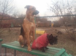 Байкал и Санта