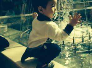 IMG-20160418-WA0012