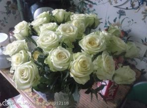розы лимбо