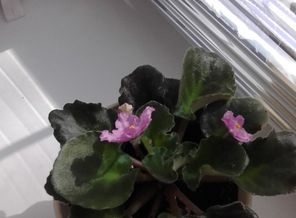20150617_153639