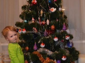 IMG_20151207_195613_16