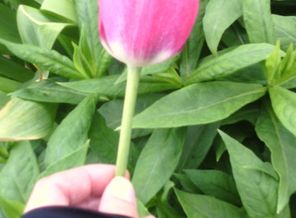 IMG_20160521_183200