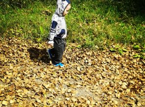 IMG_20170202_230418