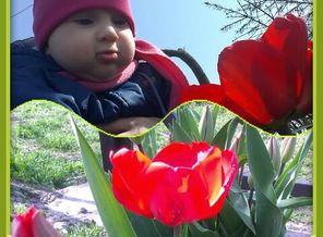 2016-04-07_10.53.34
