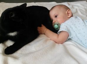 😺