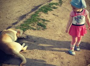 IMG_20160615_214754