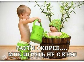 getImage (85)