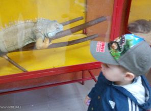 IMG_20150607_113311