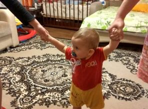 IMG_20161115_104446