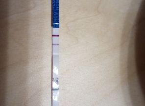 IMG-20170109-WA0010