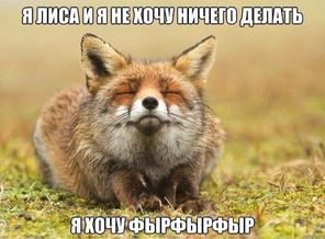 IMG-20170106-WA0001