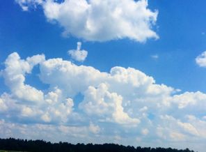IMG_20160704_133825