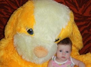 IMG_1951