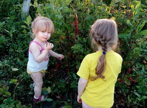 IMG_20160621_170644