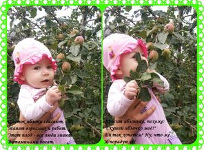 спеленок3