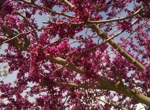 IMG_20170320_112341959