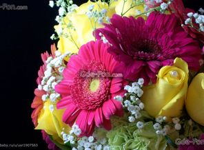 472735_rozy_krasivye_zheltye_buket_cvety_zhyoltye_cvetok__1680x1050_(www.GdeFon.ru)