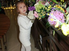 IMG_0745.JPG