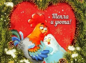 IMG_20161230_200737_275